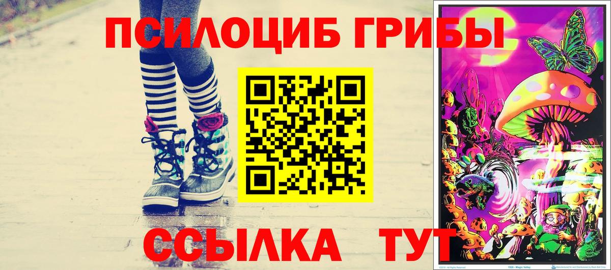 Псилоцибиновые грибы мицелий Мценск